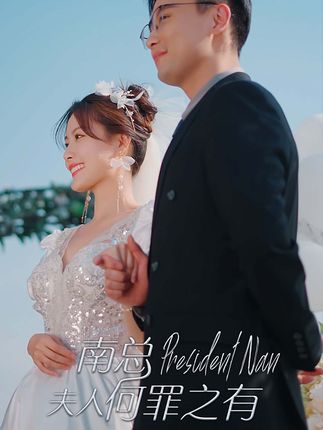 南总，夫人何罪之有封面图