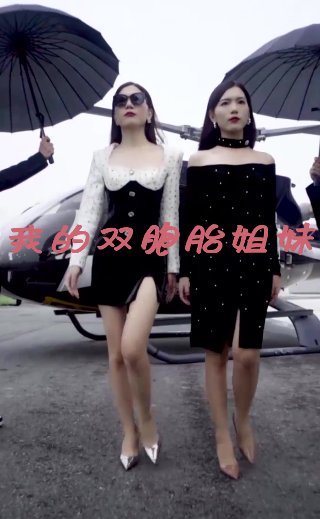 我的双胞胎姐妹封面图