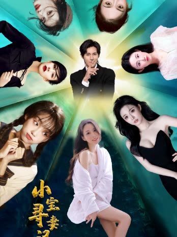 小宝寻妻记封面图