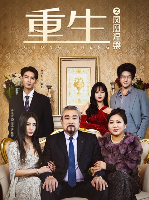 重生之凤凰涅槃封面图