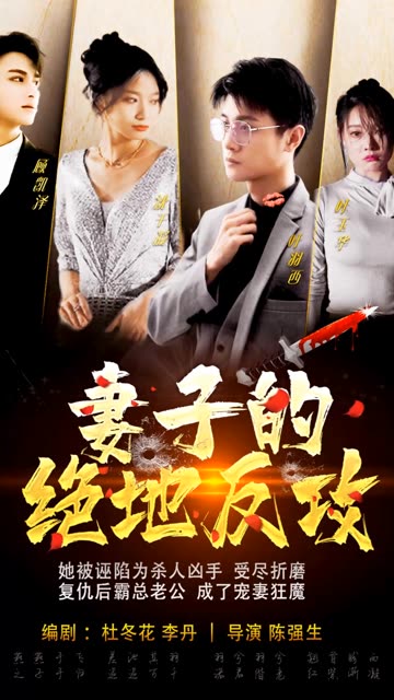 妻子的绝地反攻封面图