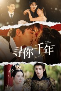 寻你千年封面图