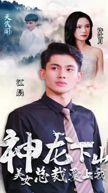 神龙下山，美女总裁爱上我封面图