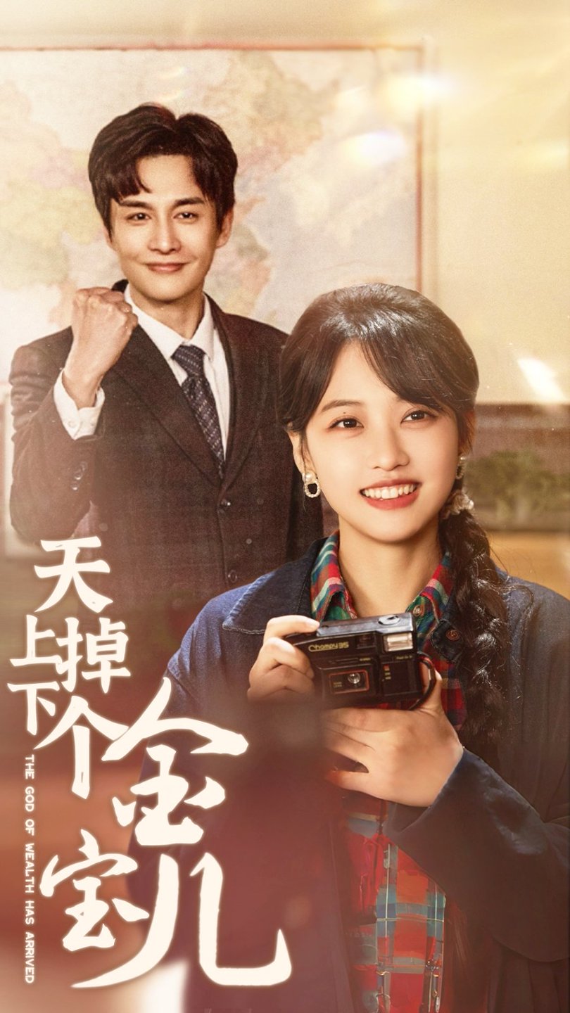 天上掉下个金宝儿封面图