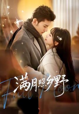 满月照乡野封面图