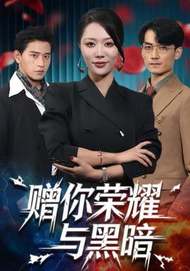 赠你荣耀与黑暗封面图