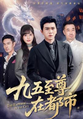 九五至尊在都市封面图
