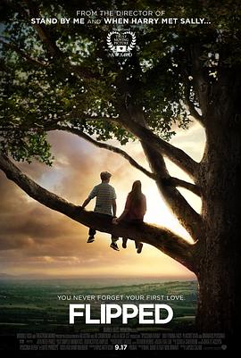 怦然心动4K封面图