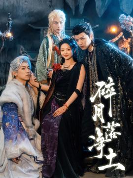 碎月落净土封面图