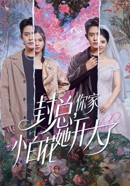 封总，你家小白花她开大了封面图