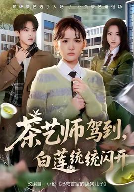 茶艺师驾到白莲统统闪开封面图