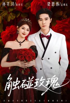 触碰玫瑰封面图