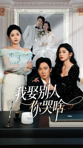 我娶别人你哭啥封面图