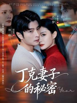 丁克妻子的秘密封面图