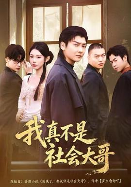 我真不是社会大哥封面图