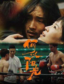 何以阳光封面图