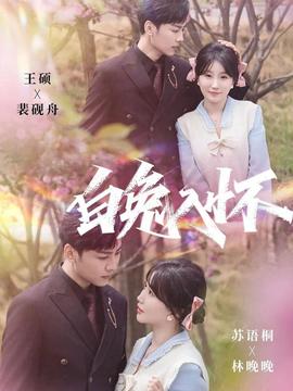 白兔入怀封面图