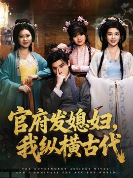 官府发媳妇，我纵横古代封面图