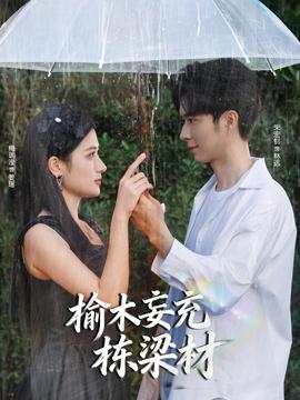 榆木妄充栋梁材封面图