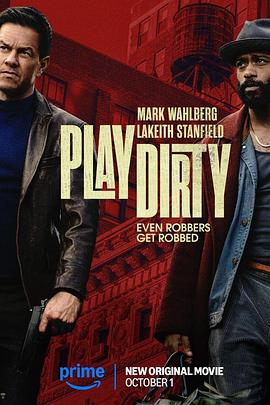 盗亦有道4K封面图