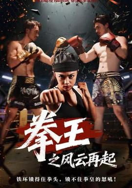 拳王之风云再起封面图