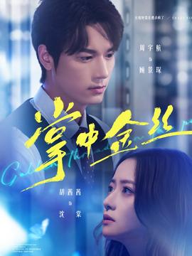 掌中金丝封面图