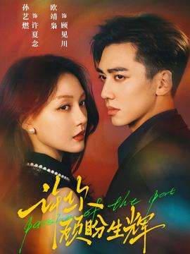 许你顾盼生辉封面图