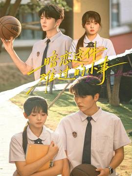 暗恋这件难过的小事封面图