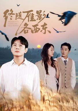 终随雁影各西东封面图