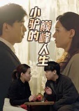 小驴的巅峰人生封面图