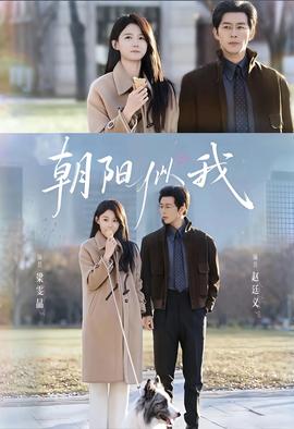 朝阳似我封面图