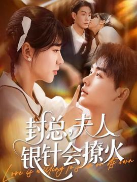 封总，夫人银针会撩火封面图