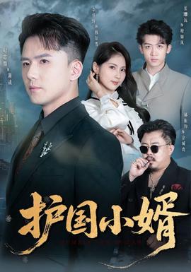 护国小婿封面图