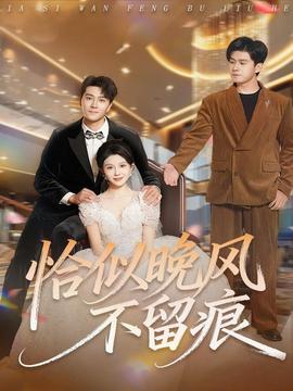 恰似晚风不留痕封面图