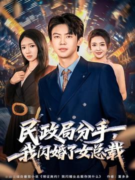 民政局分手，我闪婚了女总裁封面图