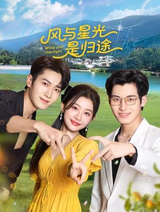 风与星光是归途封面图