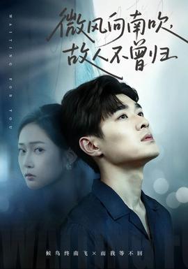 微风向南吹，故人不曾归封面图
