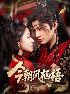 今朝凤栖梧封面图