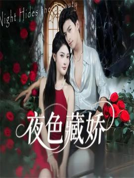 夜色藏娇封面图