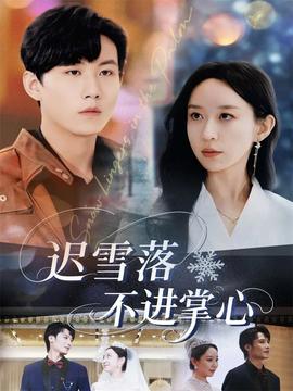 迟雪落不进掌心封面图