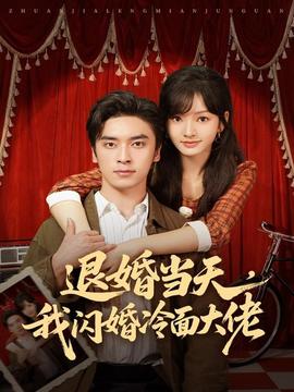 退婚当天，我闪婚冷面大佬封面图