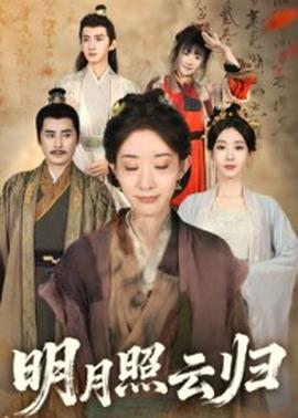明月照云归封面图