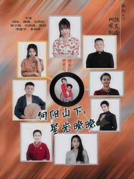 向阳山下星光晚晚封面图