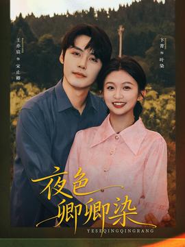 夜色卿卿染封面图
