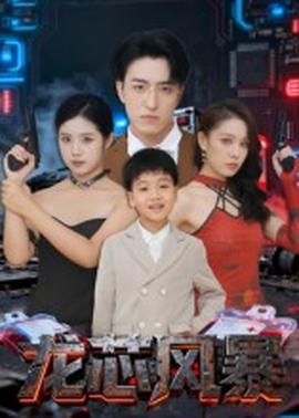 龙芯风暴封面图