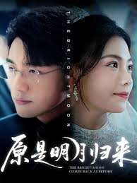 原是明月归来封面图