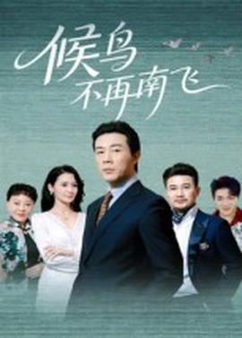 候鸟不再南飞封面图