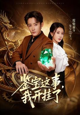 鉴宝这事，我开挂了封面图