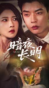 暗夜长明封面图