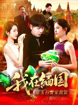 我在缅国靠玉石发家致富封面图